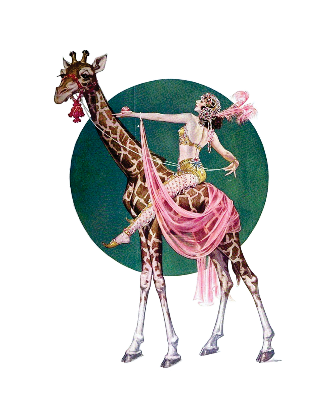 3/4 Sleeve Schloemphie T Giraffe