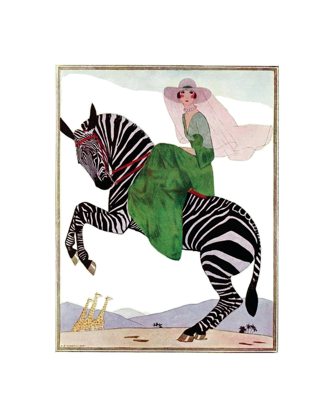 3/4 Sleeve Schloemphie T Zebra