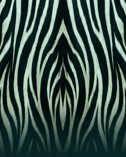 Mesh Tie Maxi Dress Zebra