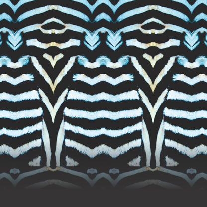 Mesh Top Zebra