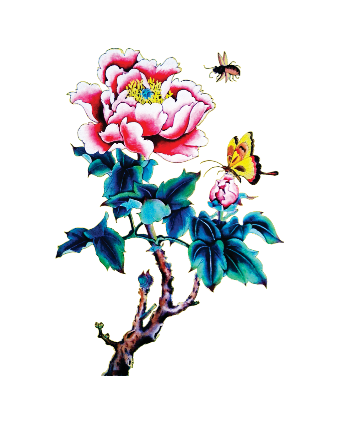 Schloemphie T Butterfly