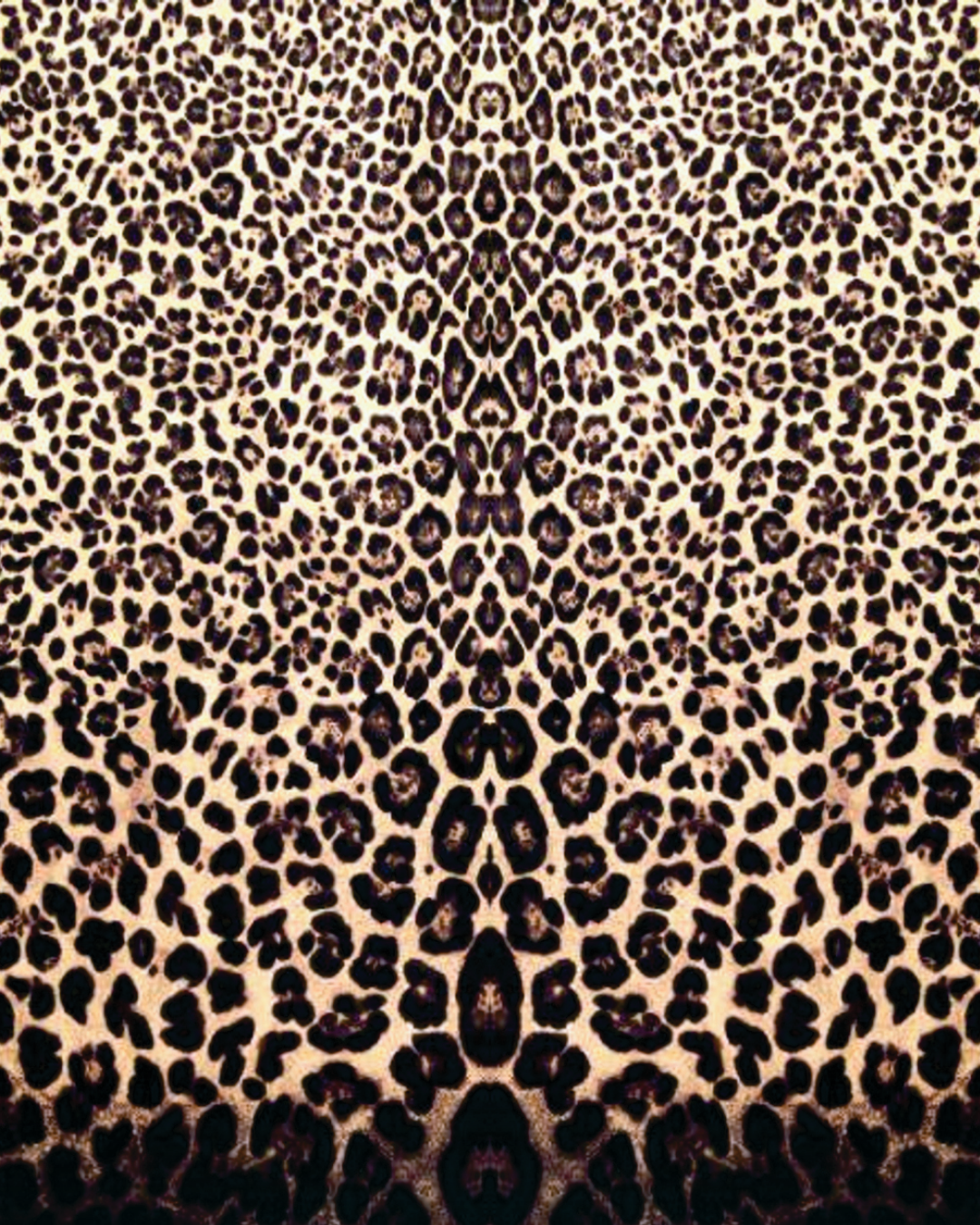 Velour Schloemphie Dress Leopard