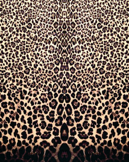 Velour Schloemphie Dress Leopard